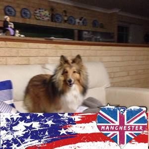 Meet your Posher, Anna